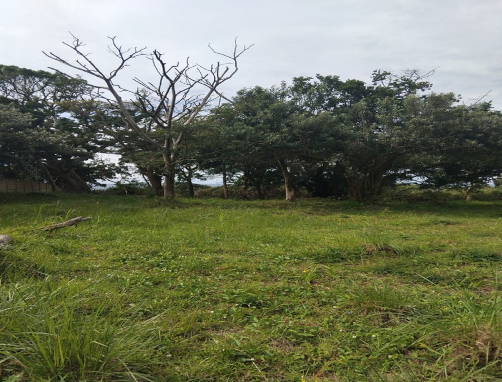 Vacant land for sale in Elysium - 1SI1738228