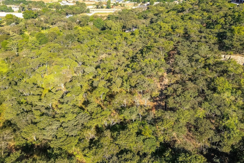 Residential vacant land for sale in Umwinsidale, Zimbabwe - 3ZB1738031