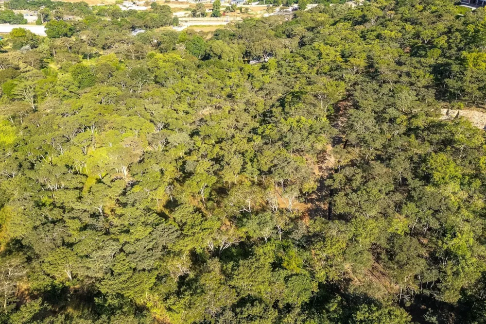 Residential vacant land for sale in Umwinsidale, Zimbabwe - 3ZB1738031 Residential vacant land for sale in Umwinsidale, Zimbabwe - 3ZB1738031