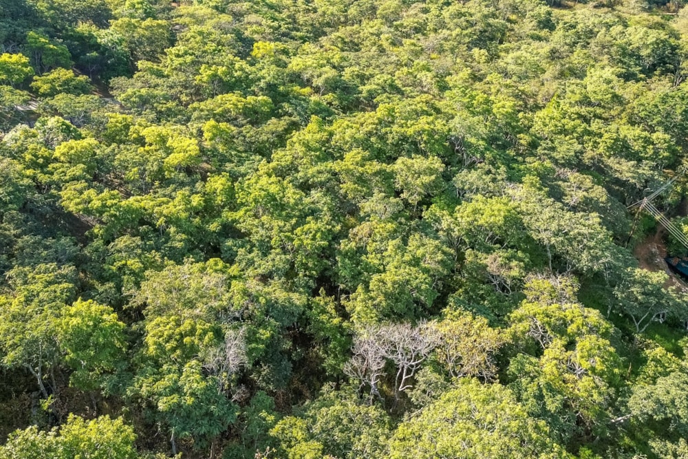 Residential vacant land for sale in Umwinsidale, Zimbabwe - 3ZB1738031