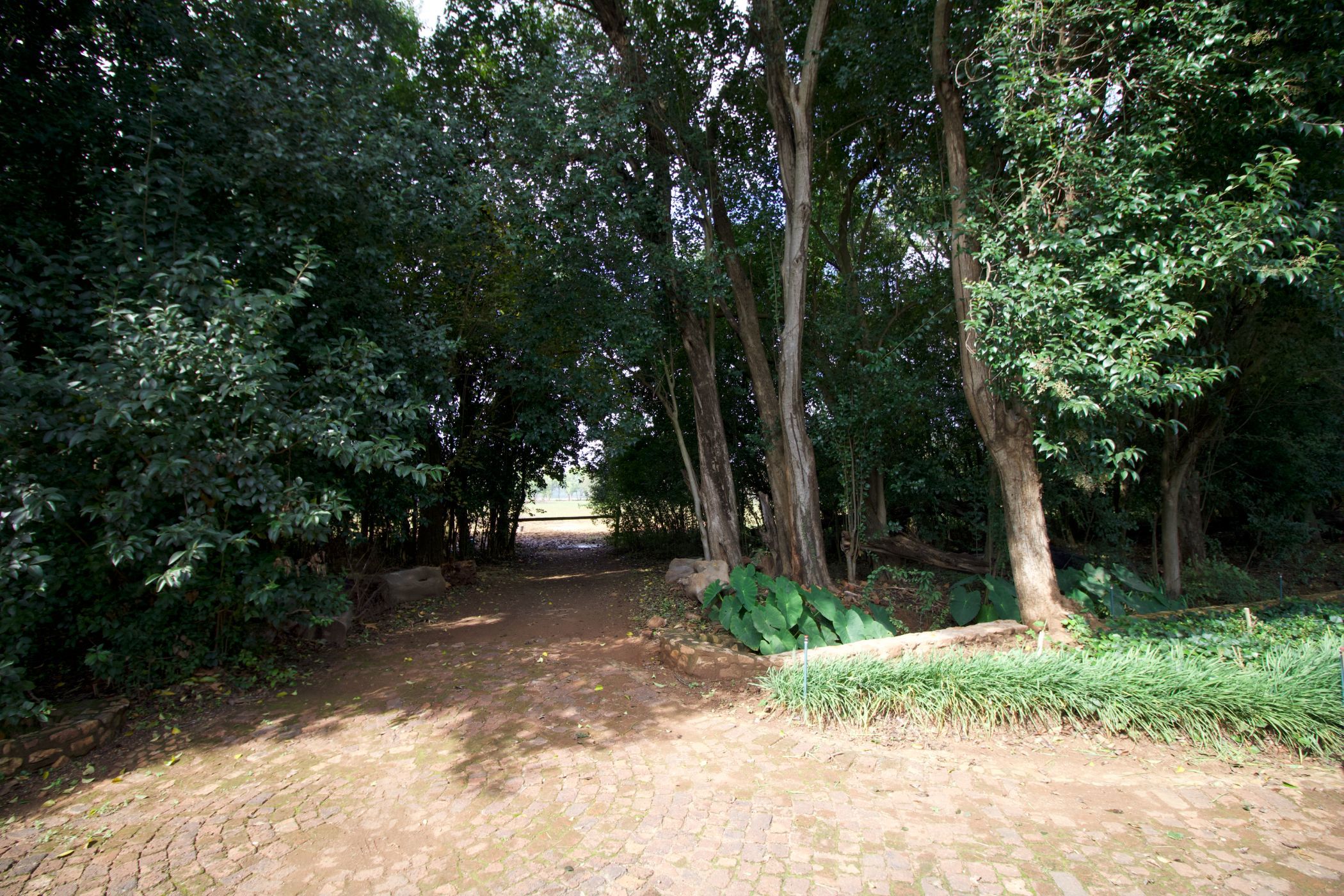 Smallholding for sale in Skeerpoort - 1HR1738087