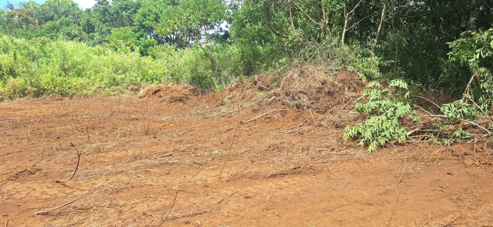 Residential vacant land for sale in Phoenix, Mauritius - MUR1738140