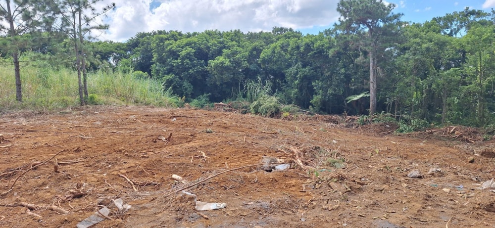 Residential vacant land for sale in Phoenix, Mauritius - MUR1738143