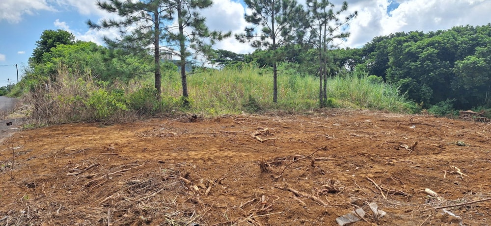 Residential vacant land for sale in Phoenix, Mauritius - MUR1738143