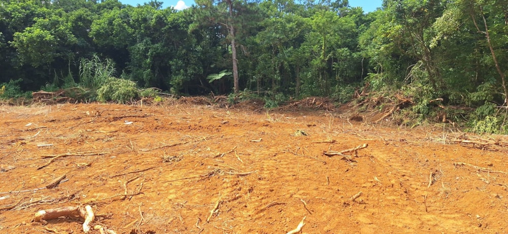 Residential vacant land for sale in Phoenix, Mauritius - MUR1738143