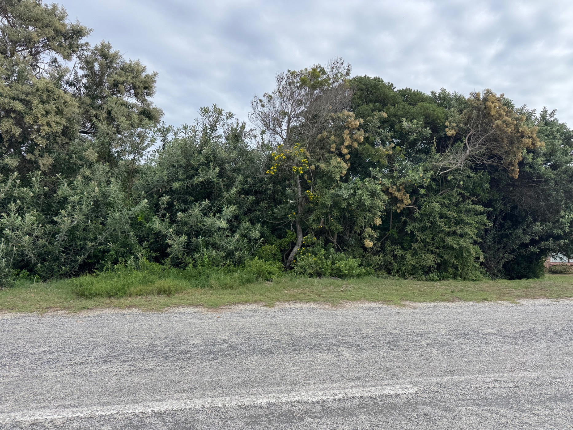 Vacant land for sale in Boknesstrand - 1KO1738202