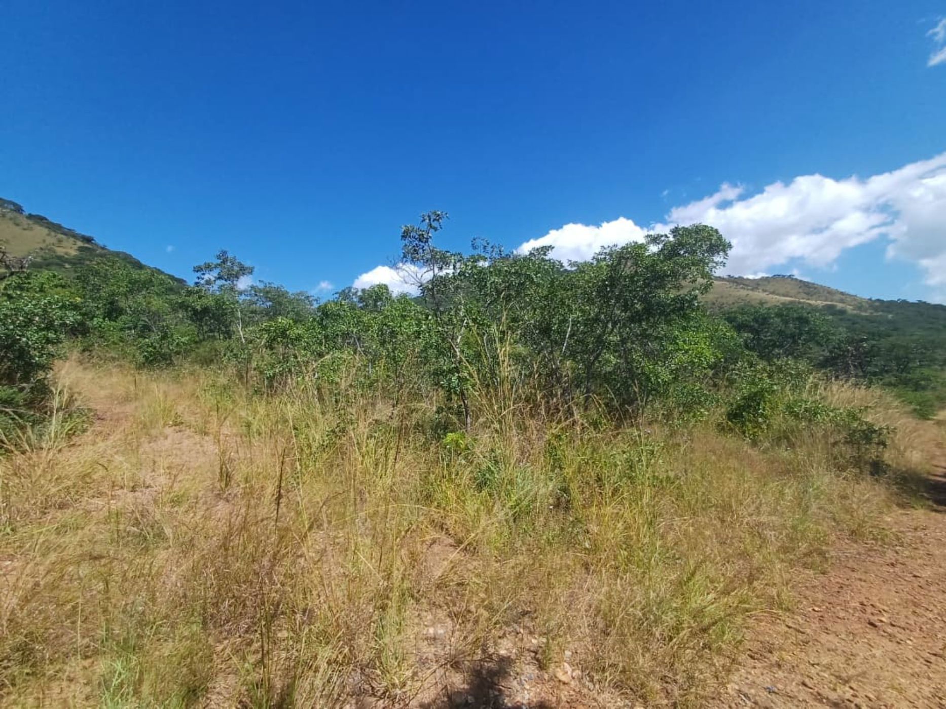 Vacant land for sale in Mutare, Zimbabwe - 3ZB1739793