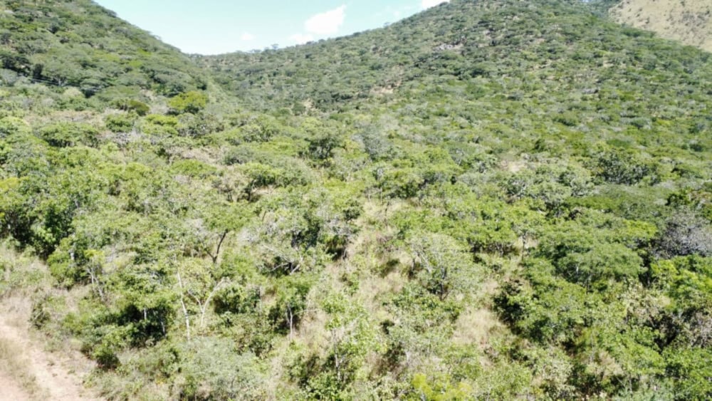 Vacant land for sale in Mutare, Zimbabwe - 3ZB1739793 Vacant land for sale in Mutare, Zimbabwe - 3ZB1739793