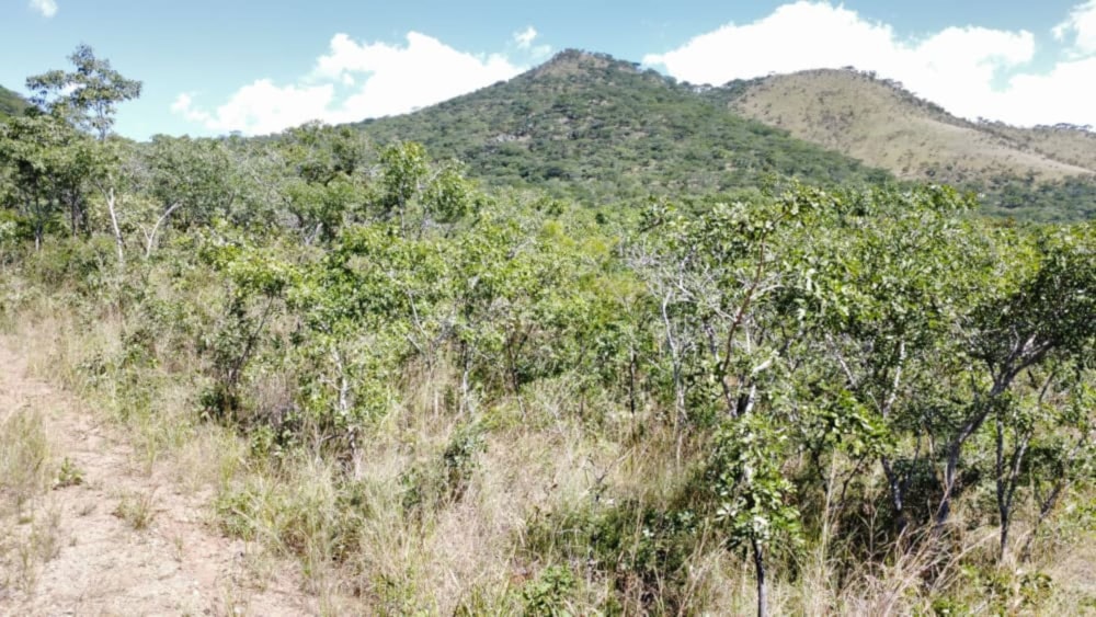 Vacant land for sale in Mutare, Zimbabwe - 3ZB1739793 Vacant land for sale in Mutare, Zimbabwe - 3ZB1739793