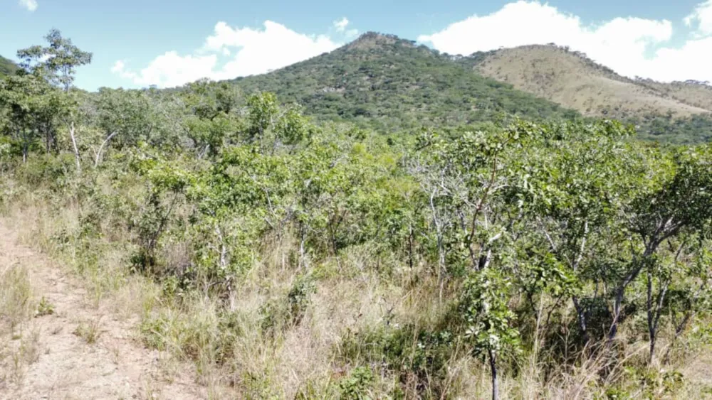 Vacant land for sale in Mutare, Zimbabwe - 3ZB1739793 Vacant land for sale in Mutare, Zimbabwe - 3ZB1739793