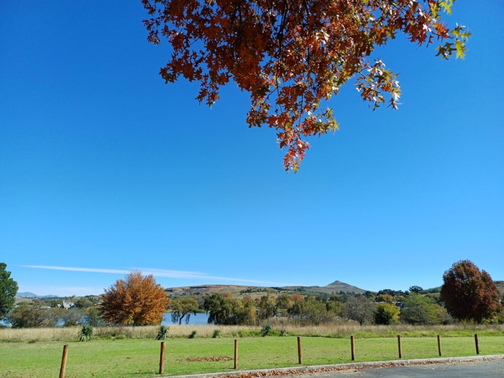 Bachelor apartment to rent in Bethlehem Central - 1BTH1738354