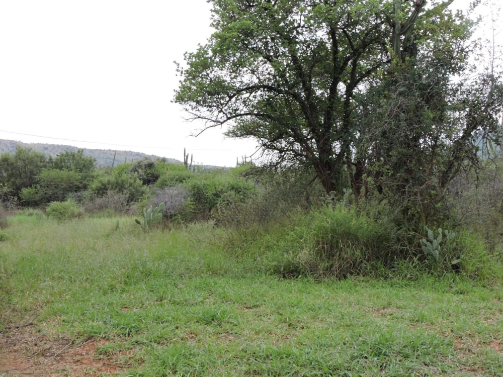 Mixed use farm for sale in Koster - 1RU1738439
