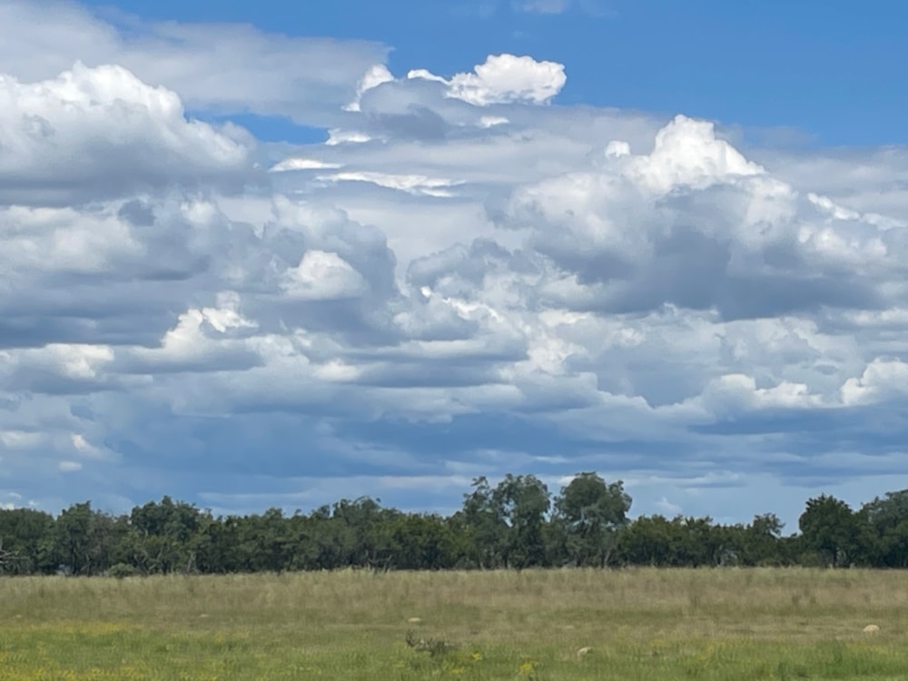 Game lodge for sale in Dinokeng - PT1738466