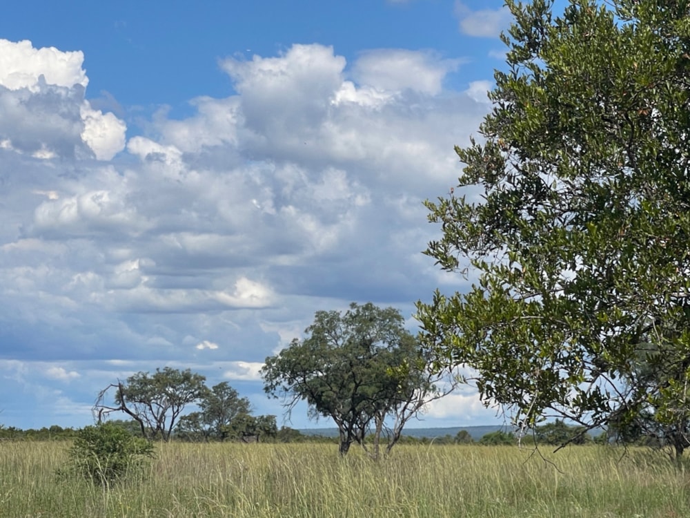 Game lodge for sale in Dinokeng - PT1738466