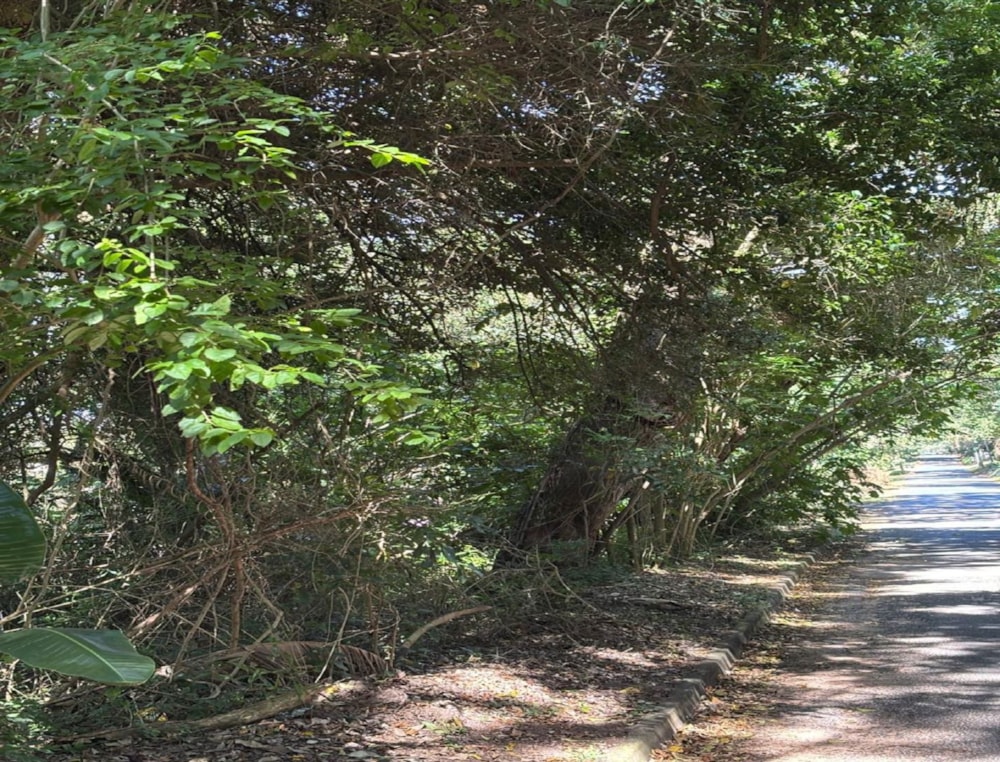 Vacant land for sale in Pennington - 1SI1736917