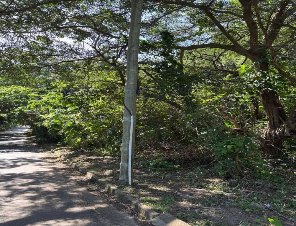 Vacant land for sale in Pennington - 1SI1736917 Vacant land for sale in Pennington - 1SI1736917