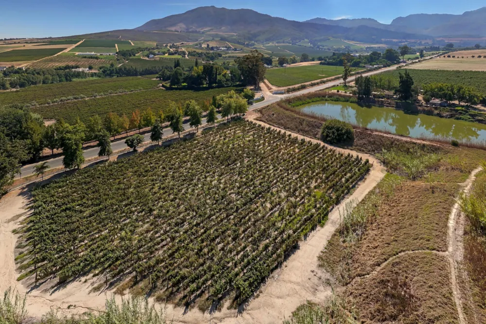 Wine farm for sale in Wellington - TK1717336