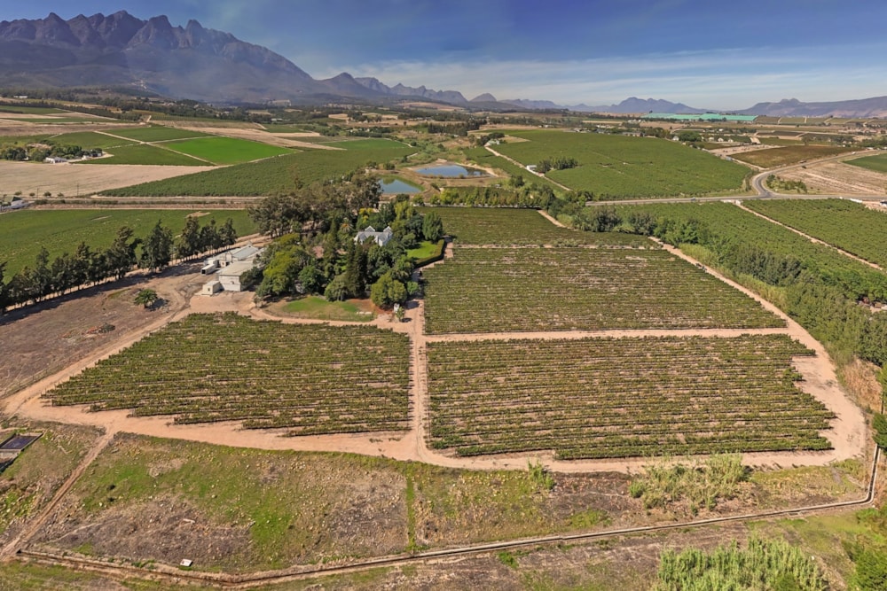 Wine farm for sale in Wellington - TK1717336