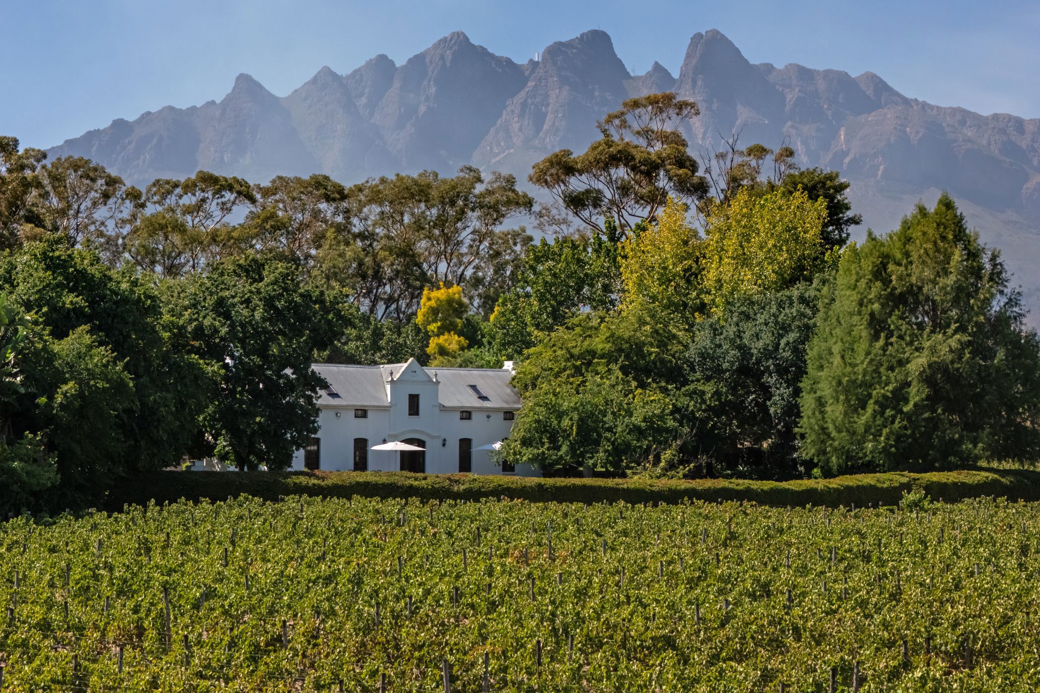 Wine farm for sale in Wellington - TK1717336