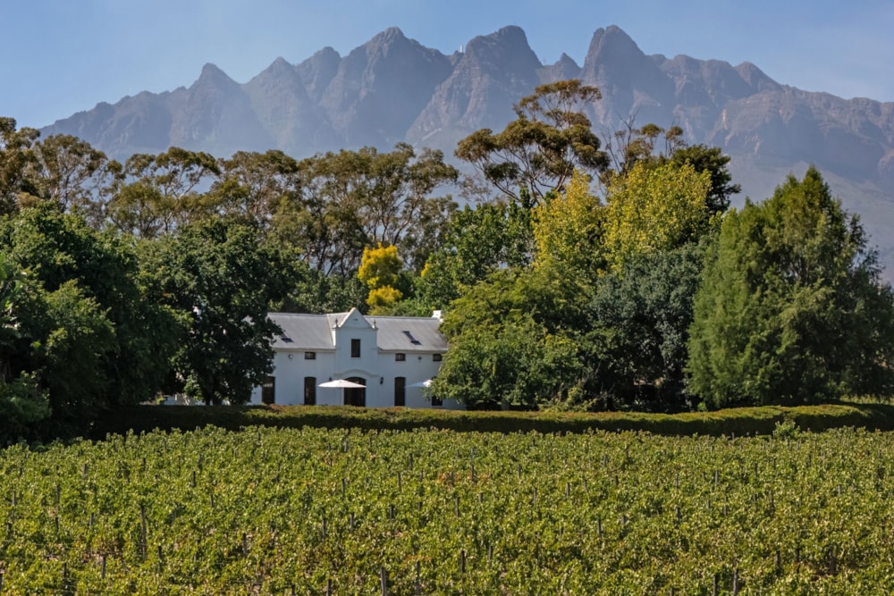 Wine farm for sale in Wellington - TK1717336