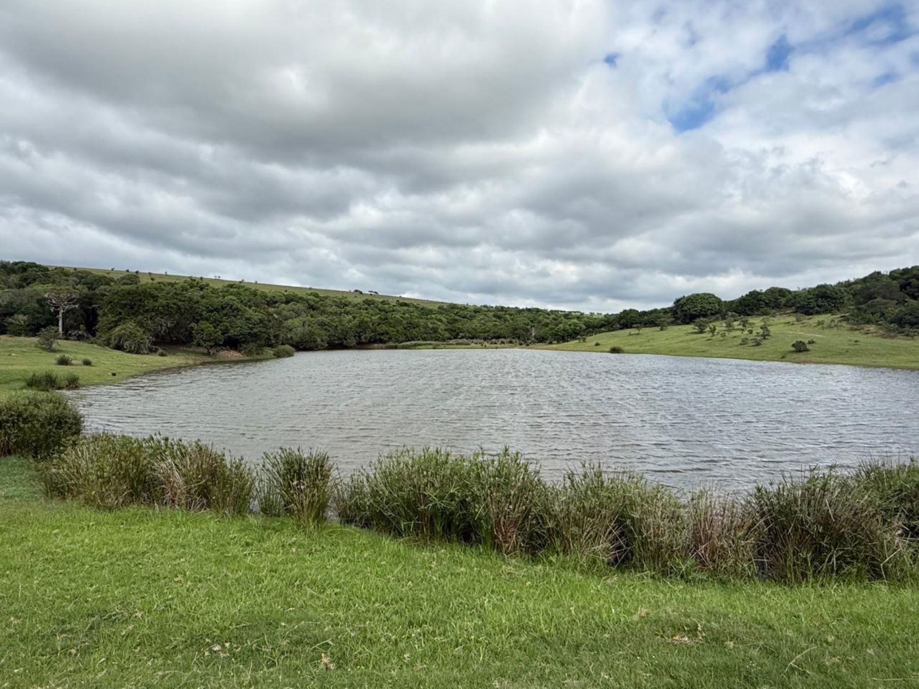 Game farm for sale in Grahamstown (Makhanda) - 1GC1733787