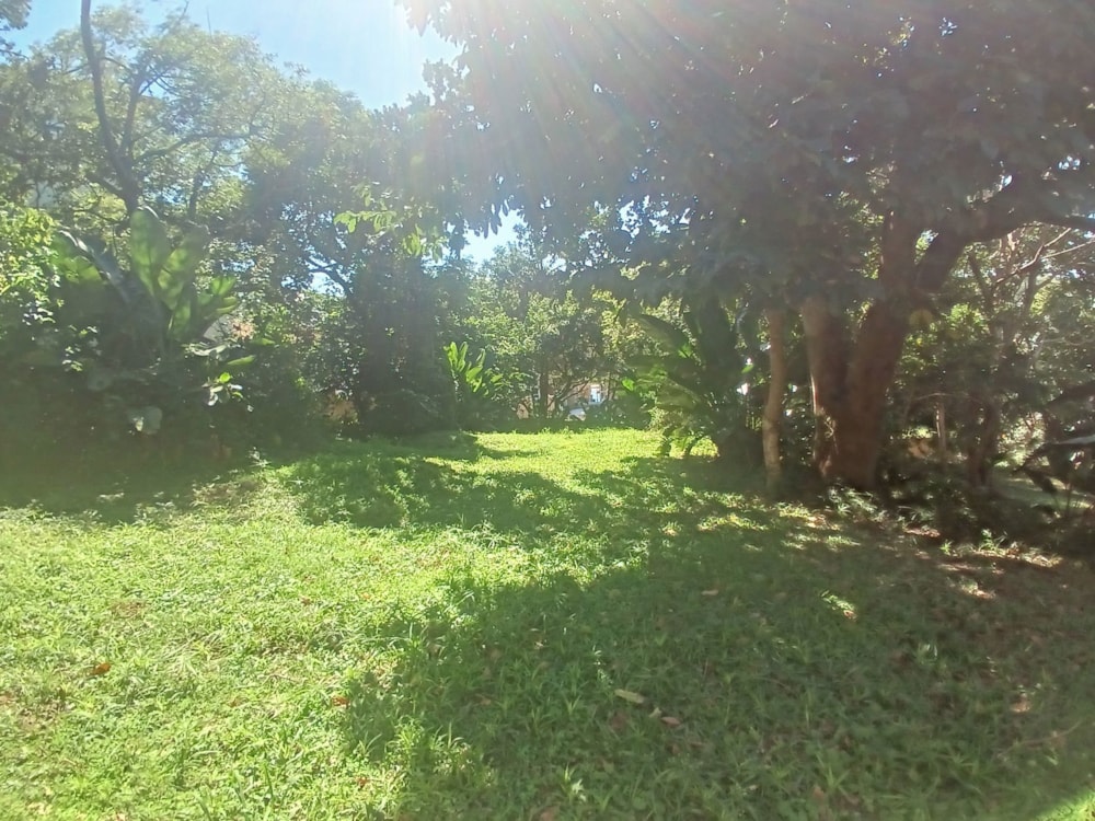 Residential vacant land for sale in Shelly Beach - 1PSH1737884 Residential vacant land for sale in Shelly Beach - 1PSH1737884