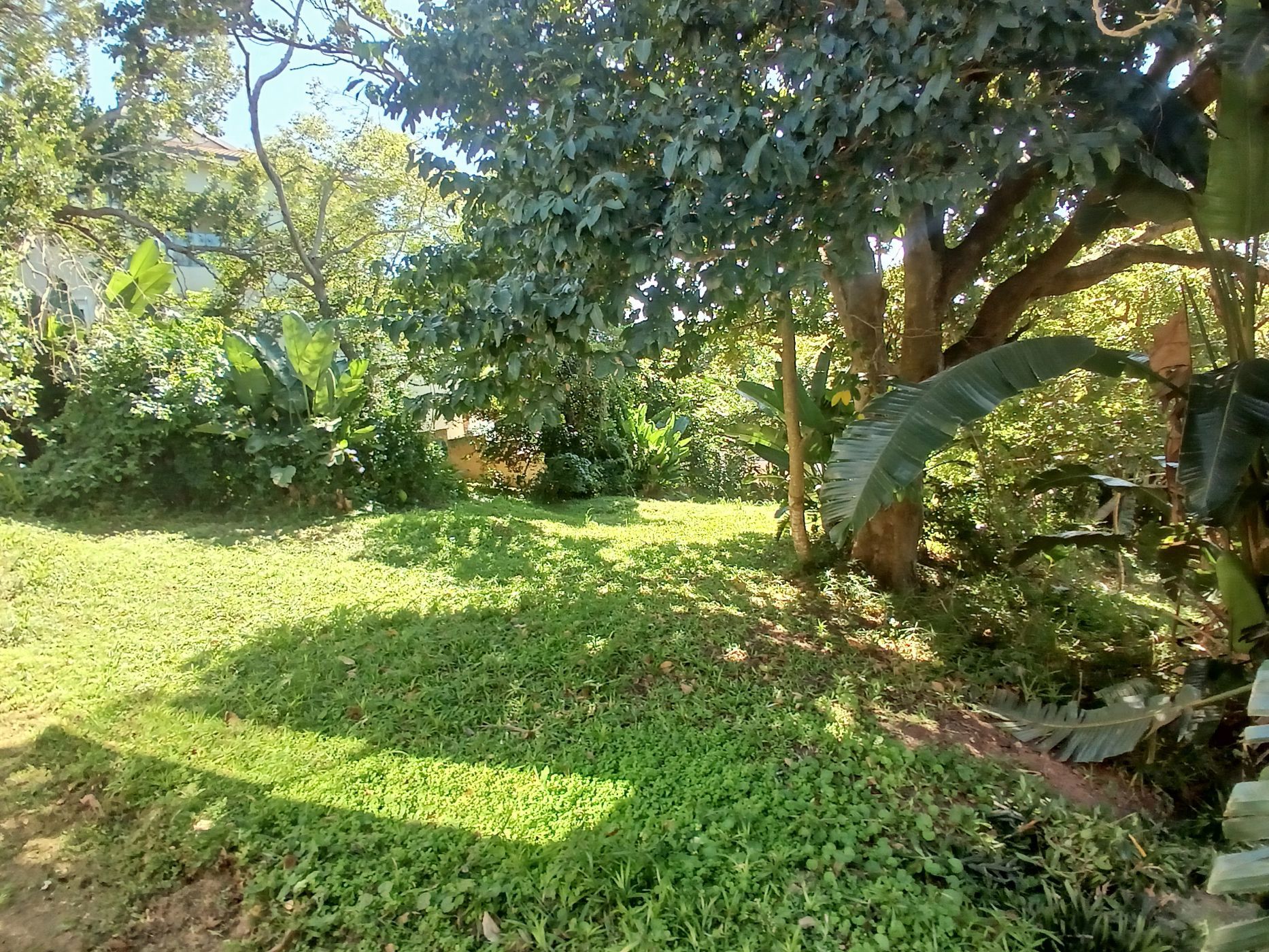 Residential vacant land for sale in Shelly Beach - 1PSH1737884