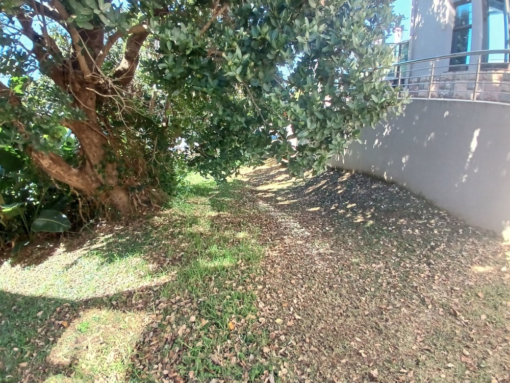 Residential vacant land for sale in Shelly Beach - 1PSH1737884