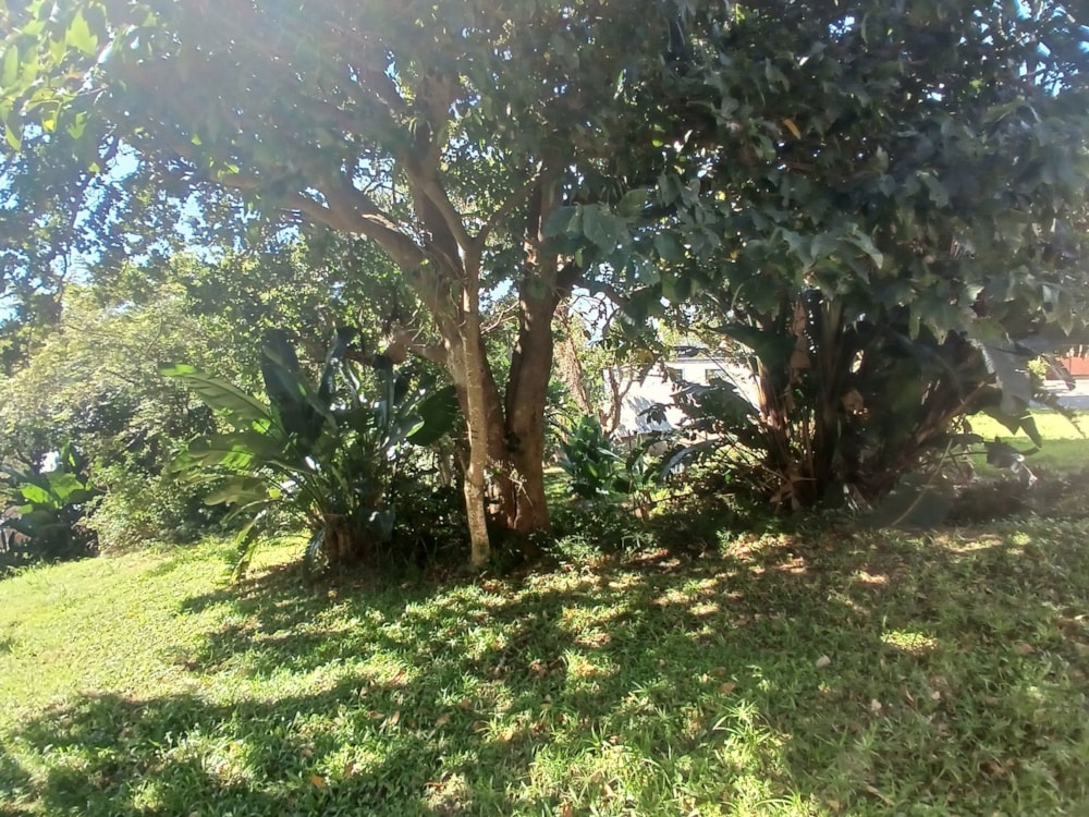 Residential vacant land for sale in Shelly Beach - 1PSH1737884 Residential vacant land for sale in Shelly Beach - 1PSH1737884