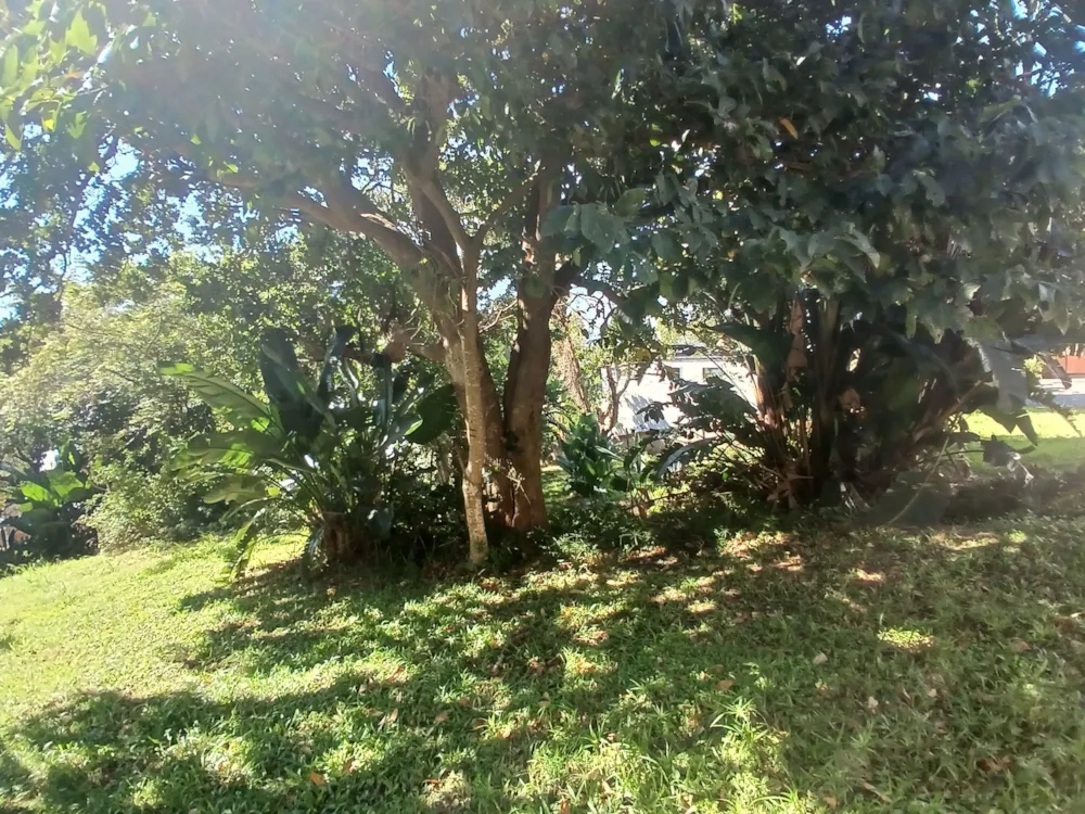 Residential vacant land for sale in Shelly Beach - 1PSH1737884 Residential vacant land for sale in Shelly Beach - 1PSH1737884
