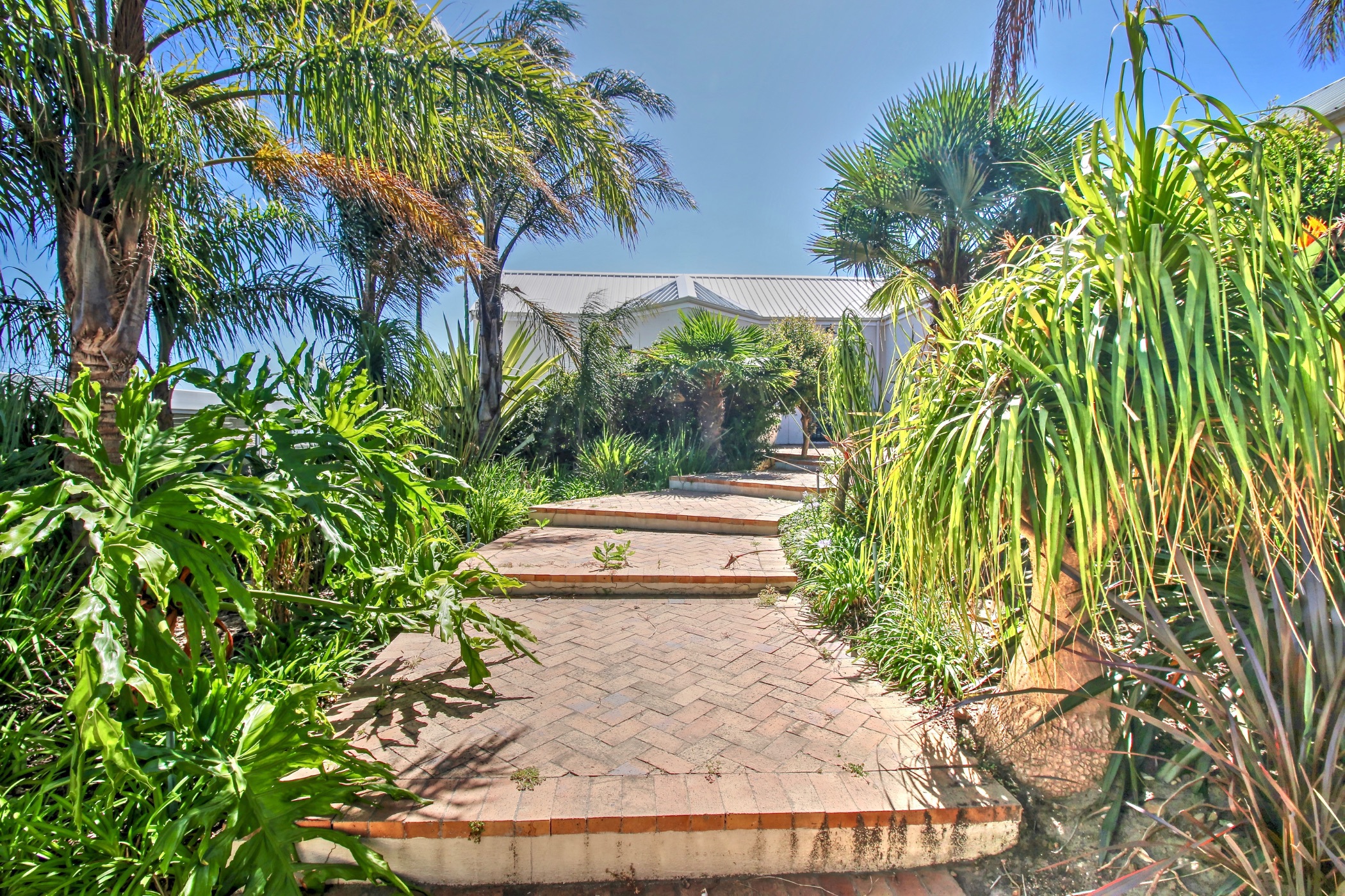 House to rent in Plattekloof - 1PLA1740325