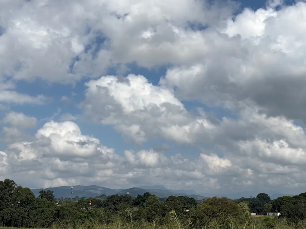 Residential vacant land for sale in Tzaneen, Limpopo Province - 1TA1736813
