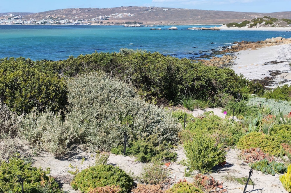 Vacant land for sale in Shelley Point - LA1737779