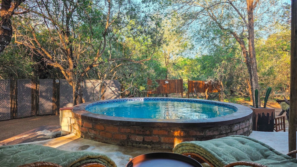 House to rent in Marloth Park - 1NK1737243 House to rent in Marloth Park - 1NK1737243
