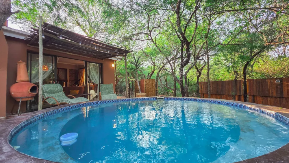 House to rent in Marloth Park - 1NK1737243 House to rent in Marloth Park - 1NK1737243