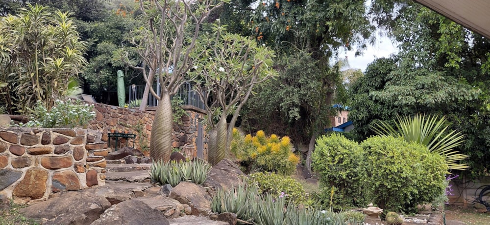 House for sale in Mbombela Ext 2 (Nelspruit Ext 2) - 1NS1740383 House for sale in Mbombela Ext 2 (Nelspruit Ext 2) - 1NS1740383