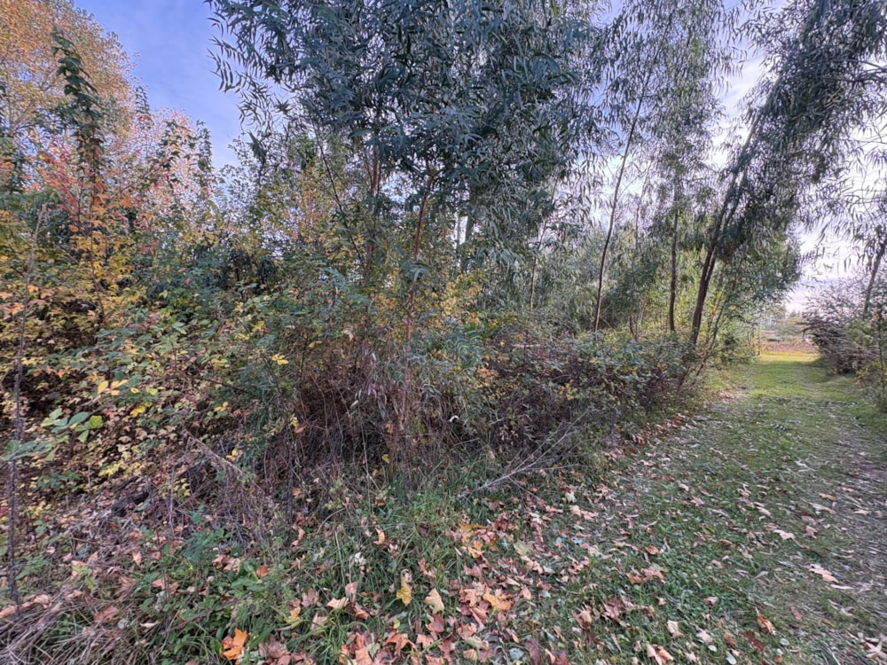 Vacant land for sale in Underberg - 1UB1739256