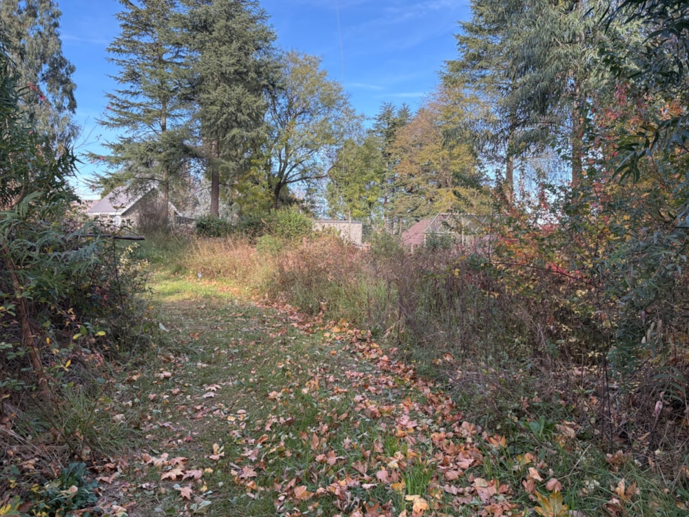 Vacant land for sale in Underberg - 1UB1739256