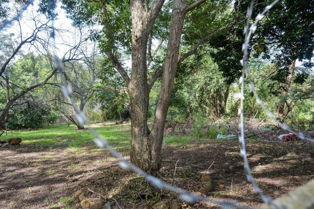 Residential vacant land for sale in Scottsville, Pietermaritzburg - 1PM1740425 Residential vacant land for sale in Scottsville, Pietermaritzburg - 1PM1740425