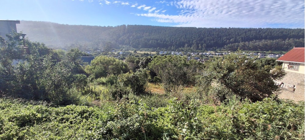 Vacant land for sale in Sedgefield - 1SH1741221
