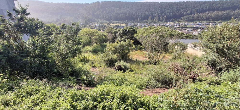 Vacant land for sale in Sedgefield - 1SH1741221