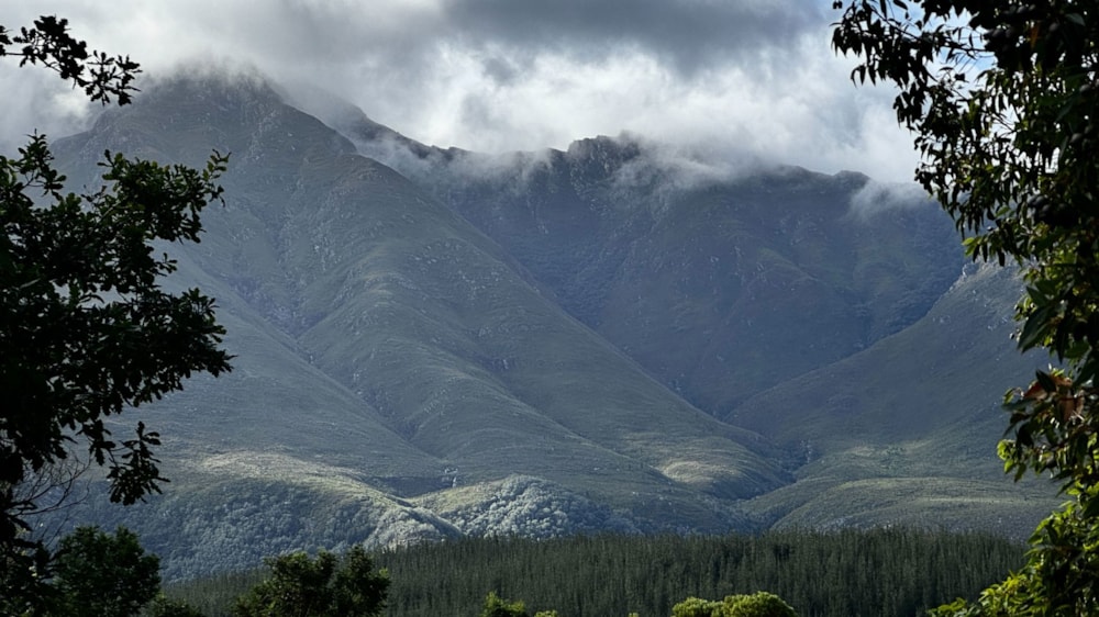 Vacant land for sale in Swellendam - 1SW1738188 Vacant land for sale in Swellendam - 1SW1738188