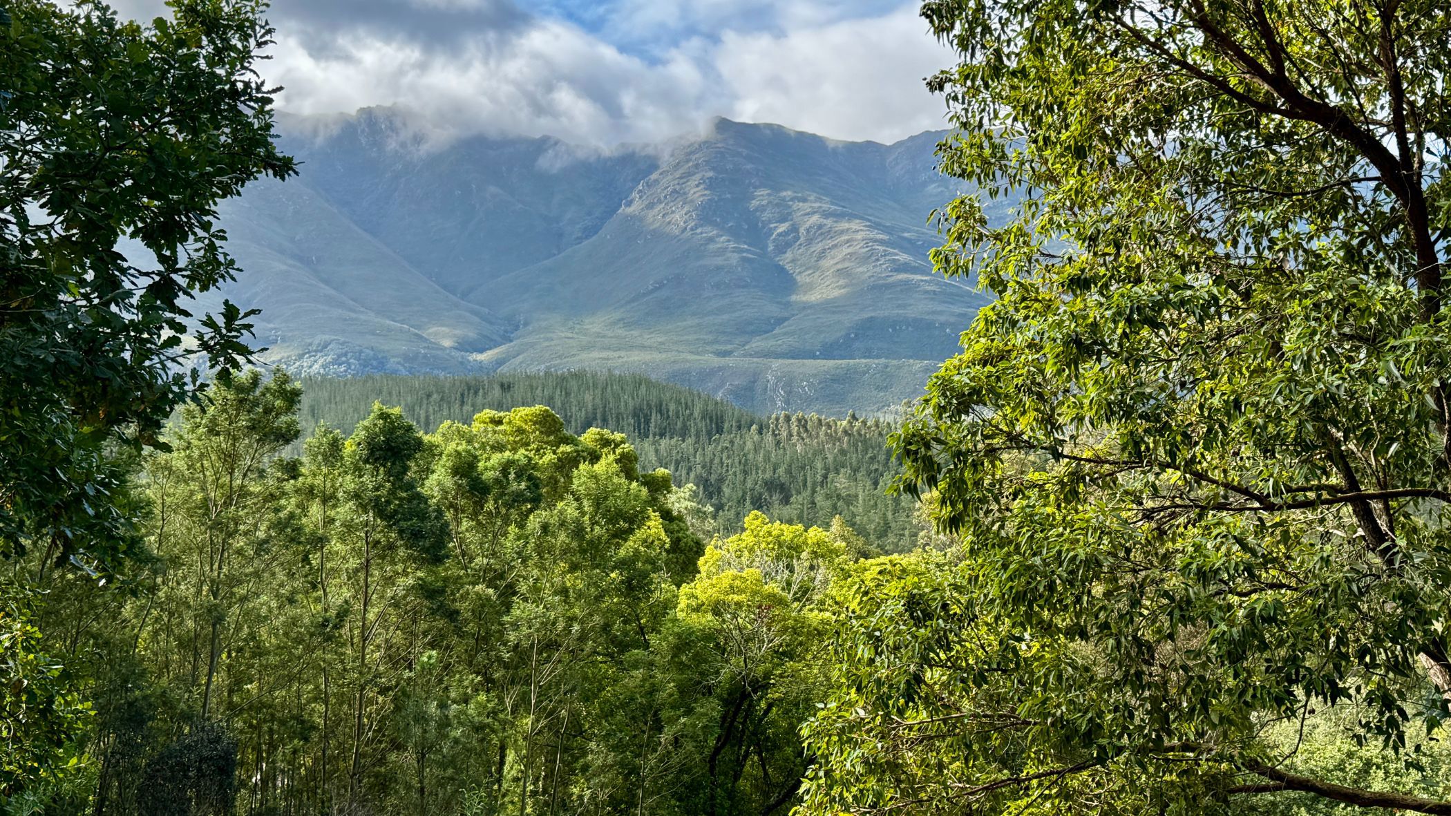 Vacant land for sale in Swellendam - 1SW1738188