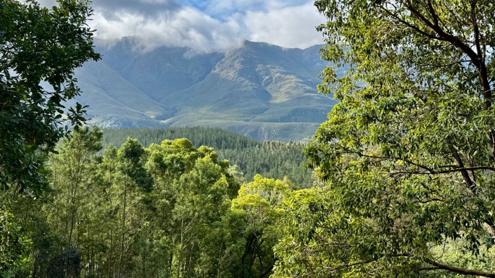 Vacant land for sale in Swellendam - 1SW1738188 Vacant land for sale in Swellendam - 1SW1738188