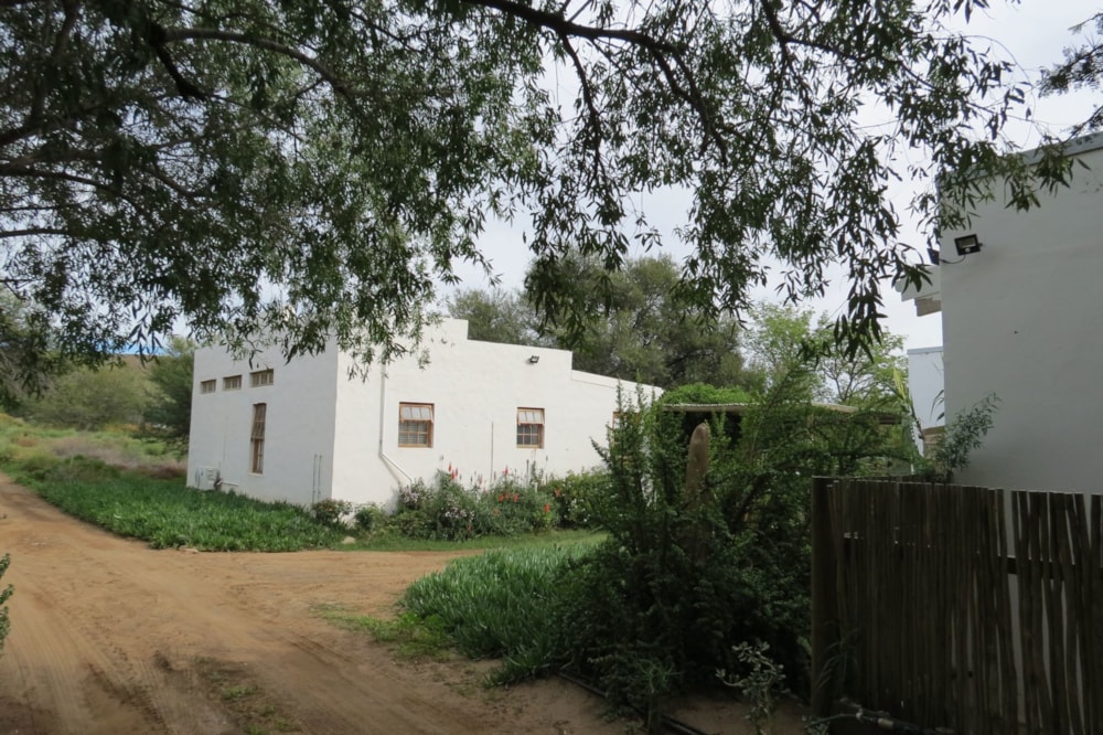 Olive farm for sale in Prince Albert - 1KK1738829