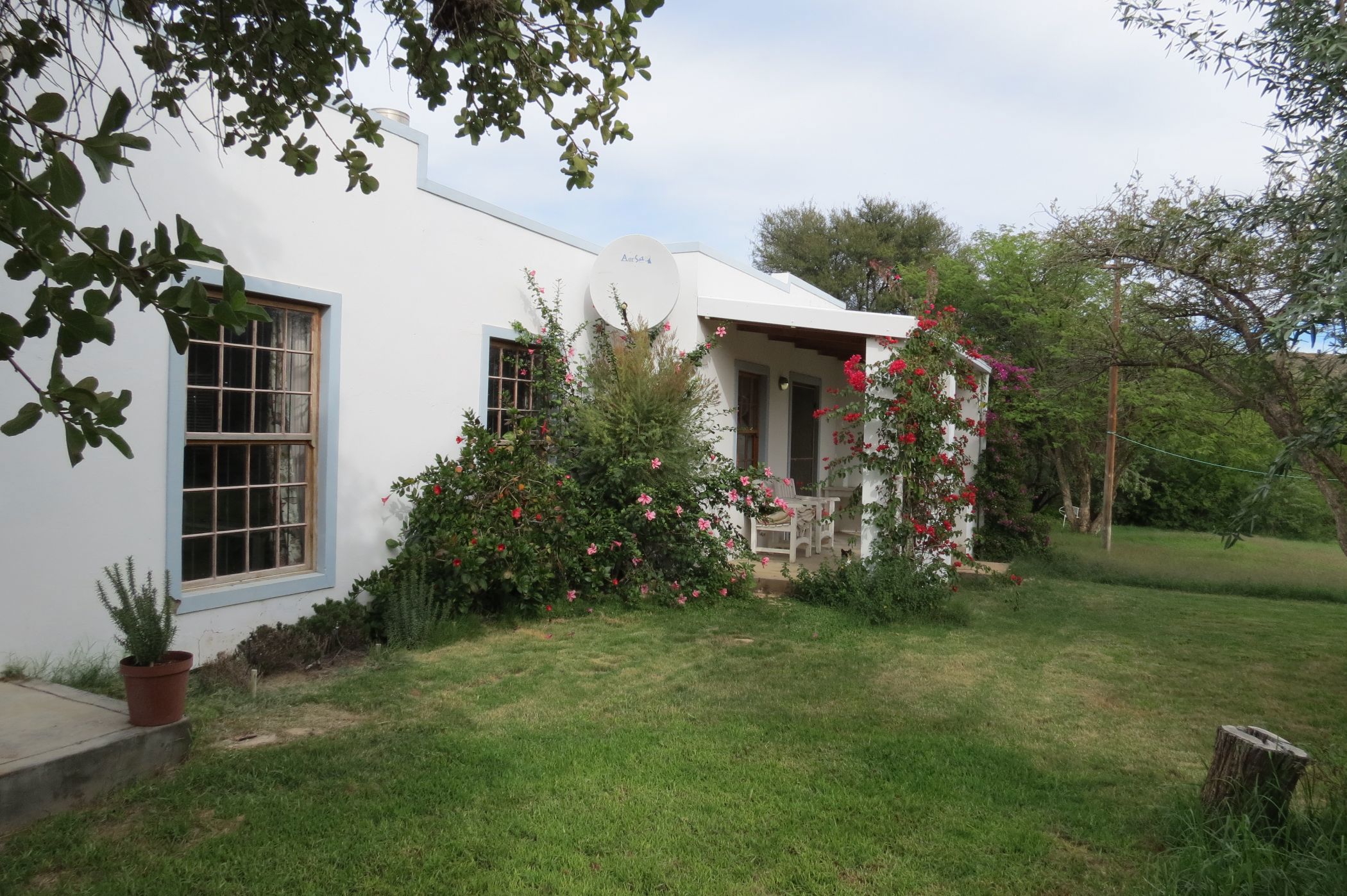 Olive farm for sale in Prince Albert - 1KK1738829