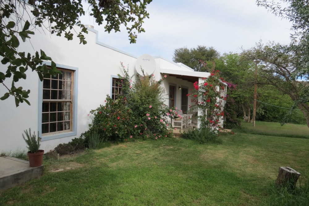 Olive farm for sale in Prince Albert - 1KK1738829