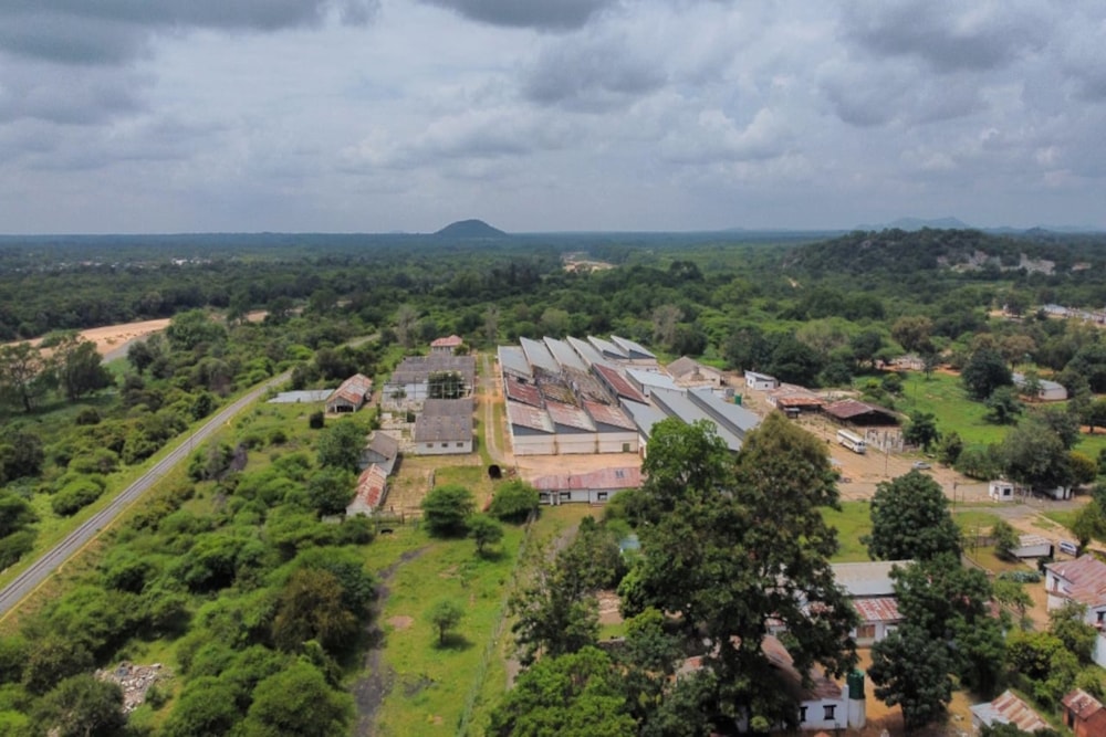 Commercial industrial property for sale in Gwanda, Matabeleland South, Zimbabwe - 3ZB1639000 Commercial industrial property for sale in Gwanda, Matabeleland South, Zimbabwe - 3ZB1639000