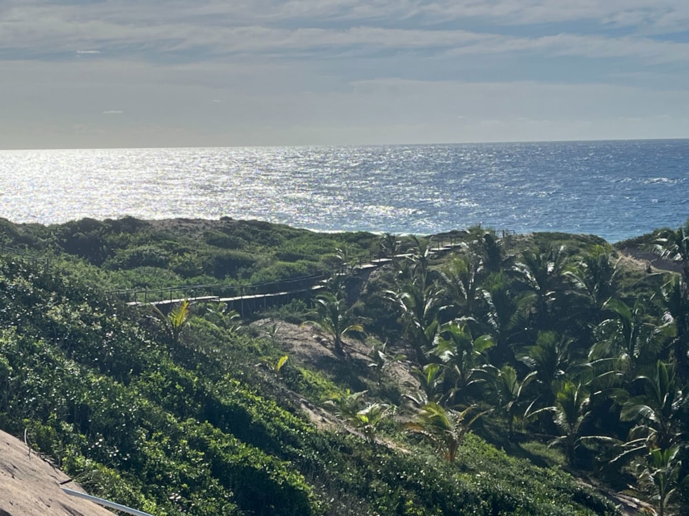 Vacant land for investment in Praia da Barra, Mozambique - 3MQ1639045