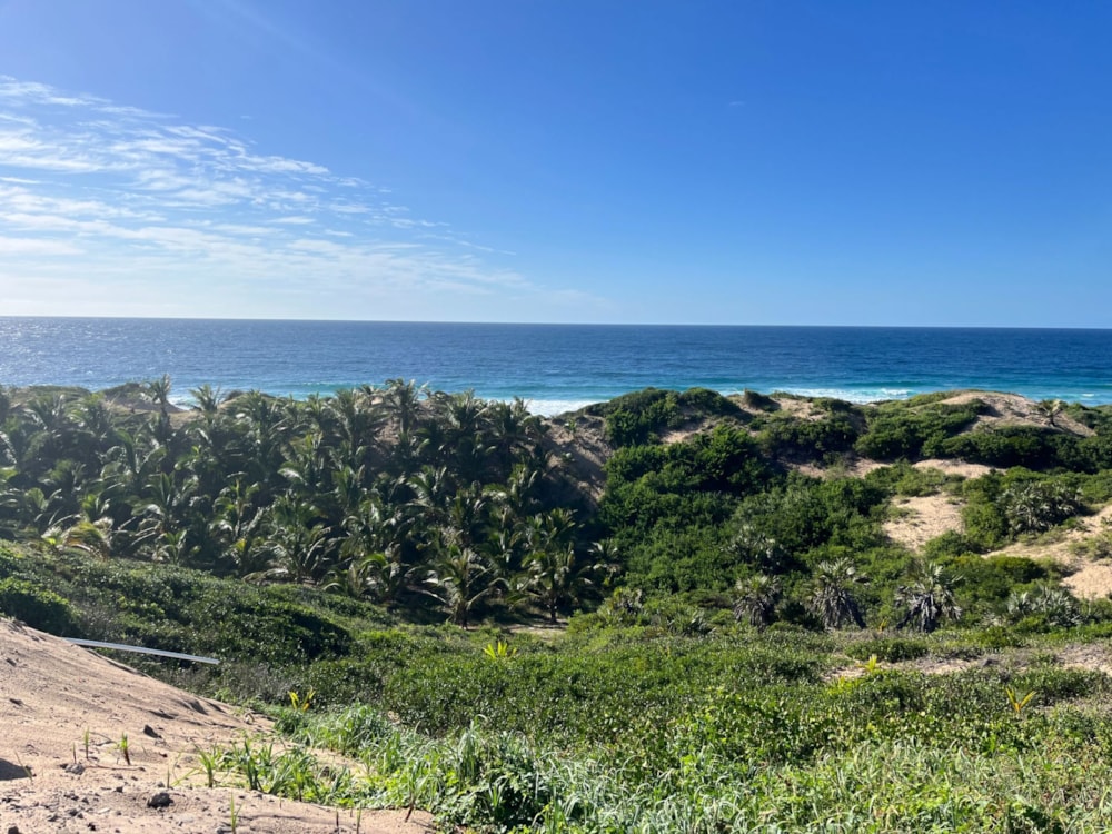 Vacant land for investment in Praia da Barra, Mozambique - 3MQ1639045